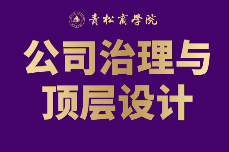 公司治理与顶层设计