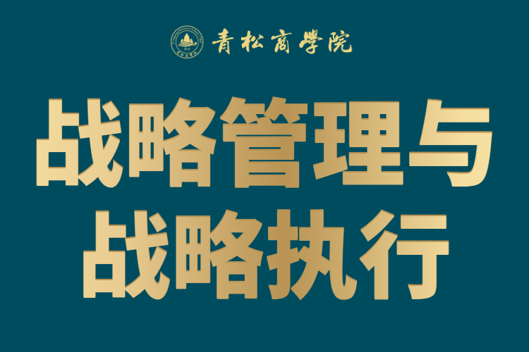 战略管理与战略执行