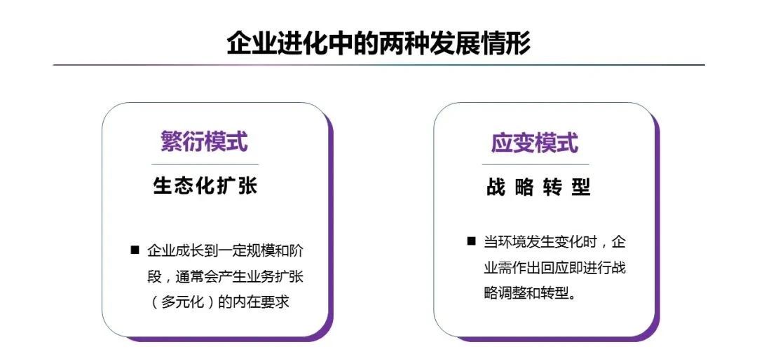 施炜:人才的高密度是公司最大能量场12